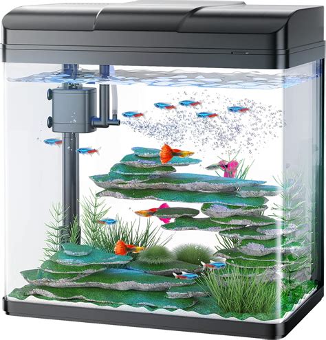 Betta Fish Tank Air Pumps at Wanda Heckart blog