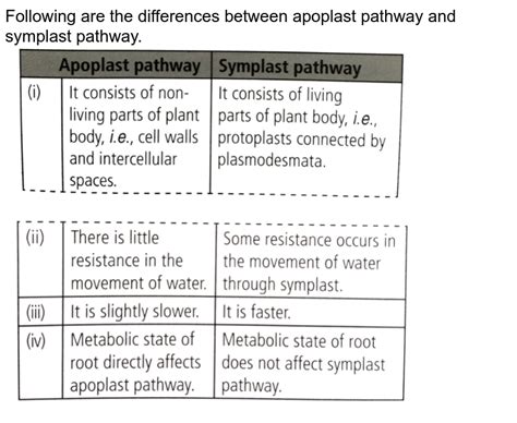 Whatis A and B in this diagram?a A - Apoplast pathway B - Symplas