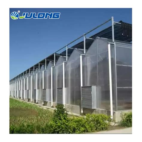 Agricultural Venlo Type Multi Span Greenhouse With Hydroponics Growing