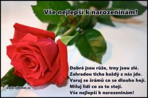 růže - Citátem.cz