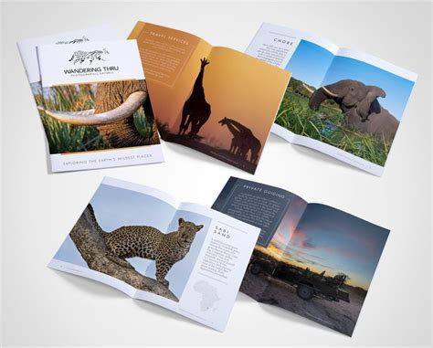 Check Out My Behance Project Photographic Safari Brochure Https