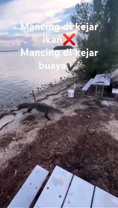 Mancing Buaya Hahaha Youtube