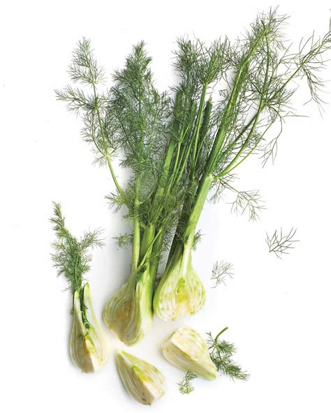 25 Truly Fabulous Fennel Recipes