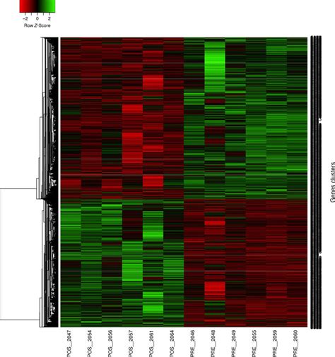 Heat Map Representing The Hierarchical Clustering Of Differentially Download Scientific Diagram