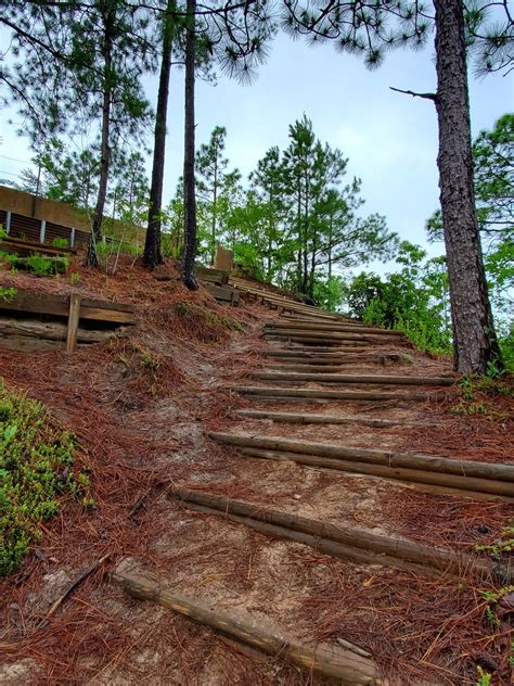 Sparrow Tree Journal: Hiking at Sugarloaf