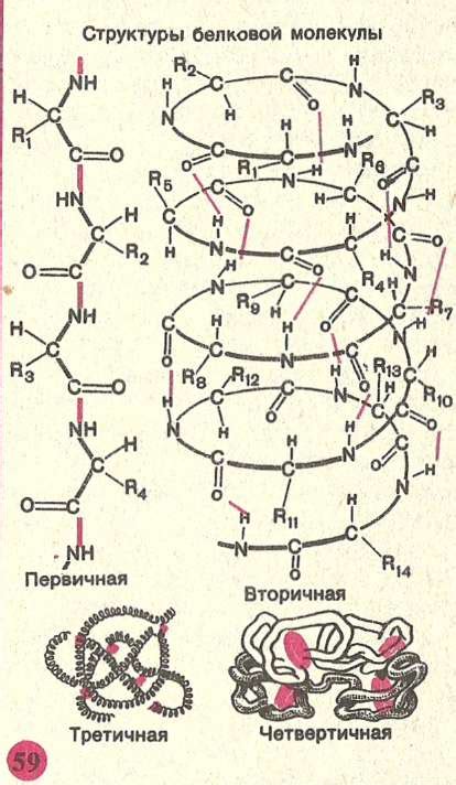 Скачать Уроки Русского Языка 8 Класс Богданова