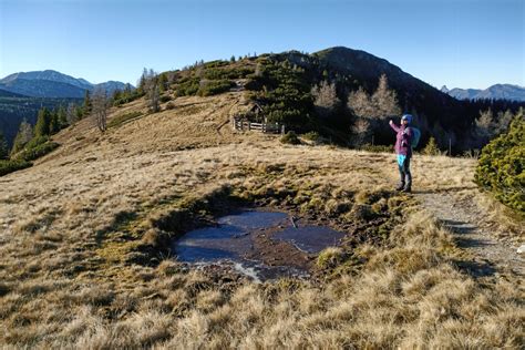 Ffi Touren Mit Tierpark Bahn Zum Berg