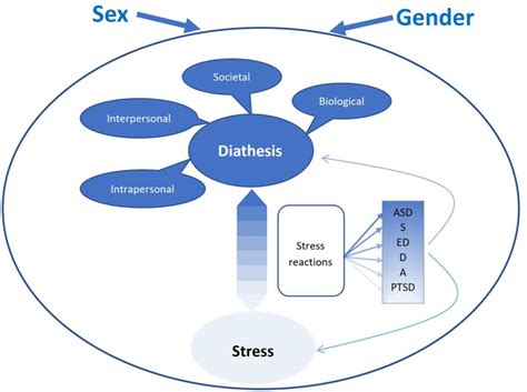 Where Sex Meets Gender How Sex And Gender Come Together To Cause Sex Differences In Mental