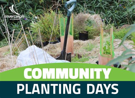 Community Planting Days Invercargill City Council