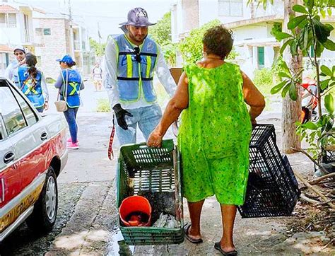 ¡5 Mil Casos De Dengue En Veracruz Ya Son Cuatro Muertes