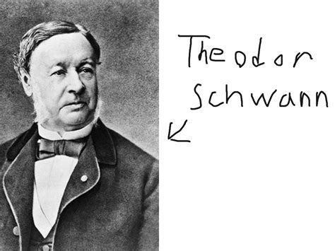 Theodor Schwann