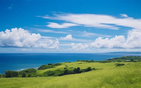 An Ocean View With Blue Sky And Green Grass Background, High Resolution ...