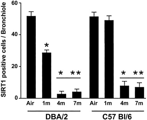 SIRT 1 Positive Cells In Small Airways At The Various Times From The