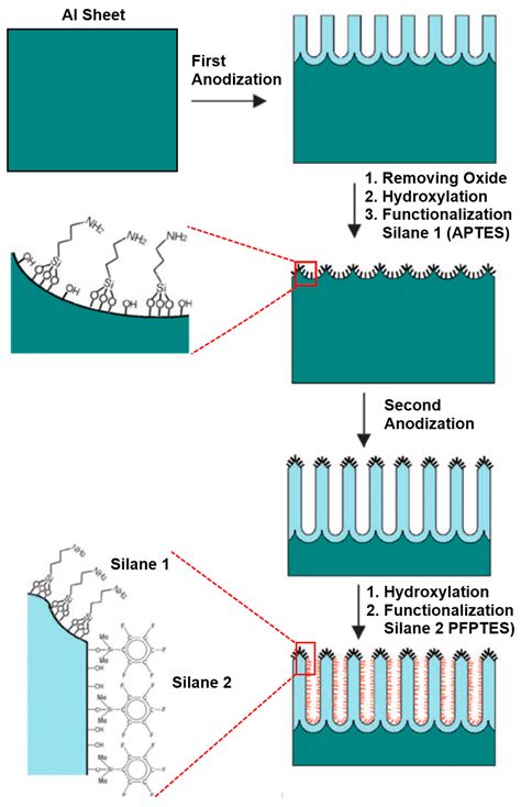 Sensors | Special Issue : Nanopore Sensors: Fabrications, Properties ...