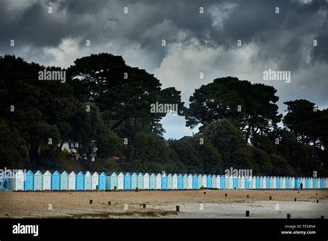 Mudeford In Dorset Avon Beach Beach Huts Many Lots Landscape Trees