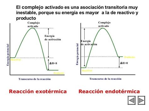 Ecuaciones Exot Rmicas Y Endot Rmicas Slide Set