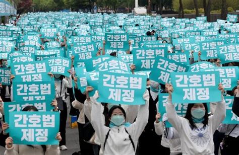 팩트파인더 간호법은 尹 대선공약후보 때 간호협회 숙원 실현 네이트 뉴스