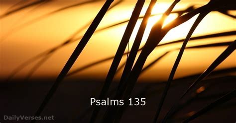 Psalm 135 - NRSV & NIV - DailyVerses.net