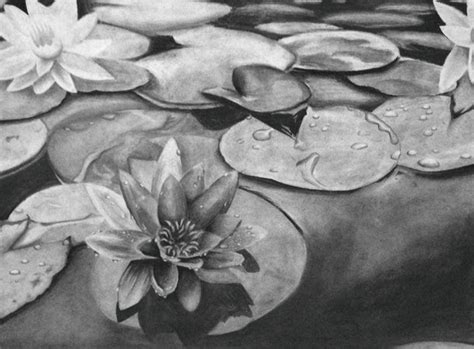 Lily Pad Drawing at PaintingValley.com | Explore collection of Lily Pad ...