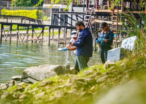 Medio Ambiente Verifica Si Hay Descargas De Aguas Negras En El Lago De