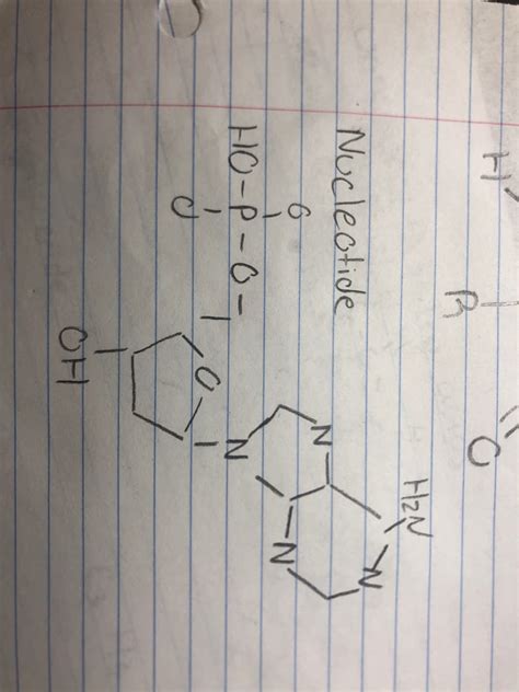 Answered Chemical Formula Of Nucleotides Bartleby