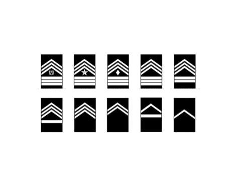 Jrotc Ranks In Order