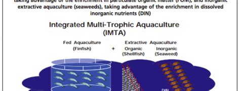 Sustainability Of Integrated Multi Trophic Aquaculture Shark Research