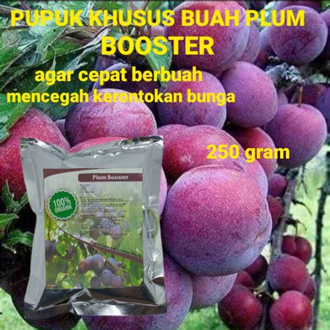 Pupuk Khusus Buah Plum Booster Agar Cepat Berbuah Dan Mencegah