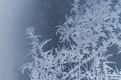 Premium Photo Frosty Patterns On The Window Glass Closeup Seasons Of Nature And Uniqueness