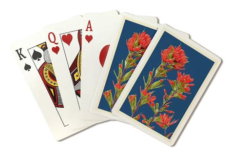 Playing Cards Indian Paintbrush Letterpress Lantern Press Etsy