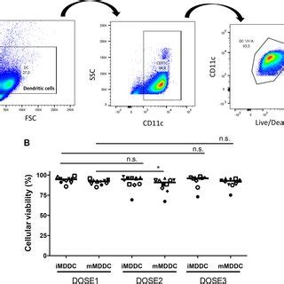 Phenotypic Characterization Of Immature And Mature MDDCs Used For