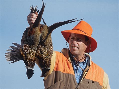 Pheasant Hunting Strategies - Game & Fish