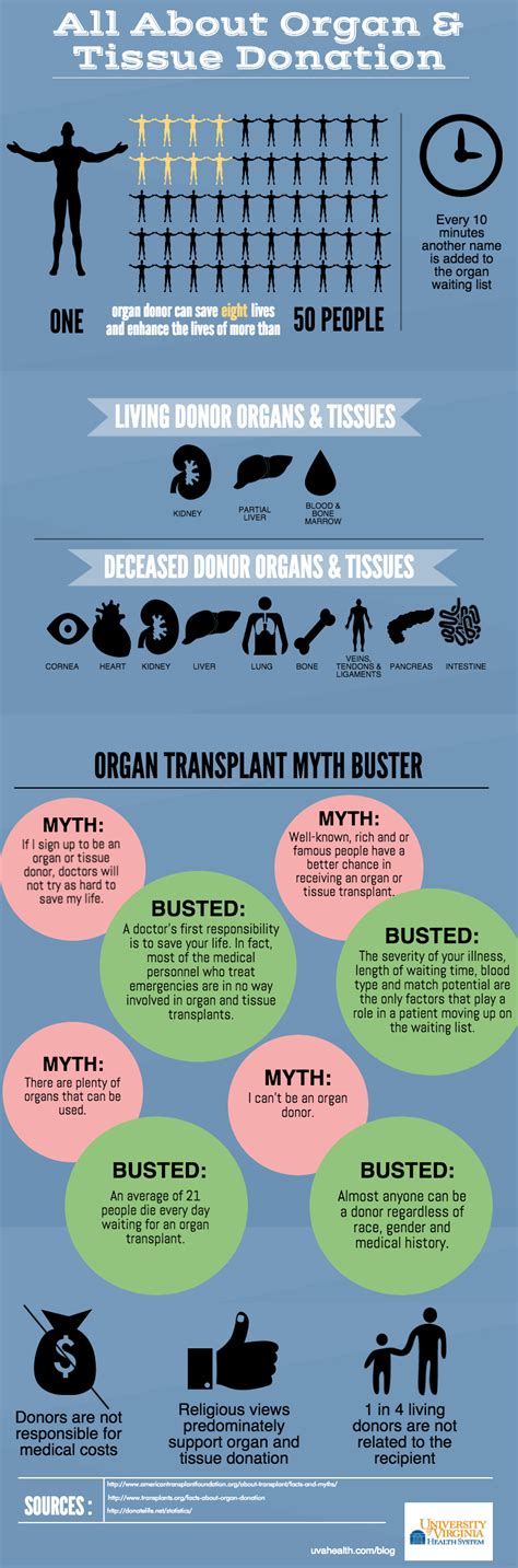 Infographic: All About Organ and Tissue Donation