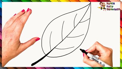 How To Draw A Leaf Step By Step 🍂 Leaf Drawing Easy Youtube