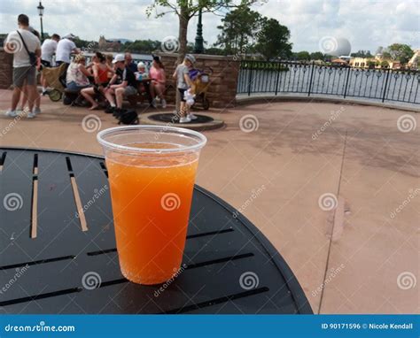 Grapefruit Beer stock photo. Image of disney, beer, epcot - 90171596