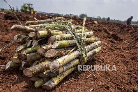 Bapanas Bantu Jaga Kestabilan Ekosistem Gula Dalam Negeri Republika