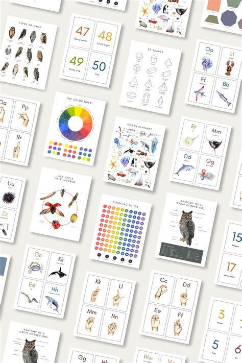 Kindergarten Poster Pack How Wee Learn