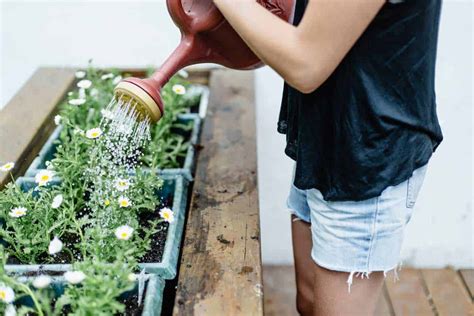 30 Stunning Balcony Garden Ideas That Will Inspire You