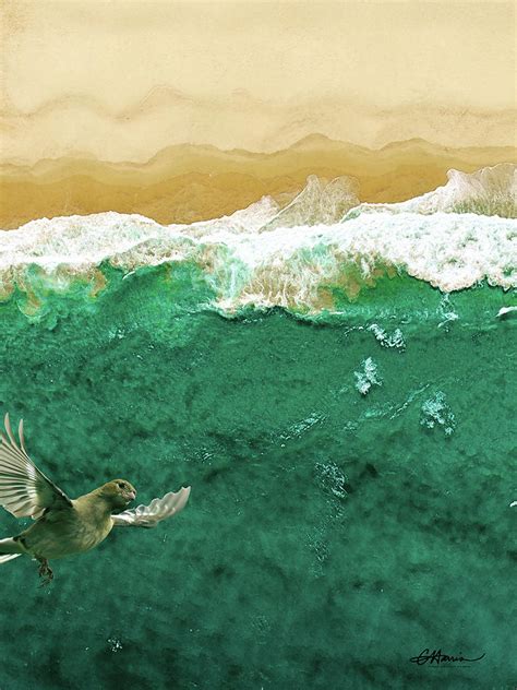 A Drones Eye View Digital Art By Cindy Collier Harris Fine Art America
