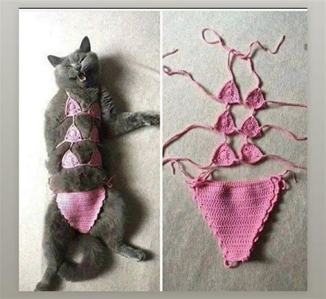 Thanks, I hate Crochet Cat : r/TIHI