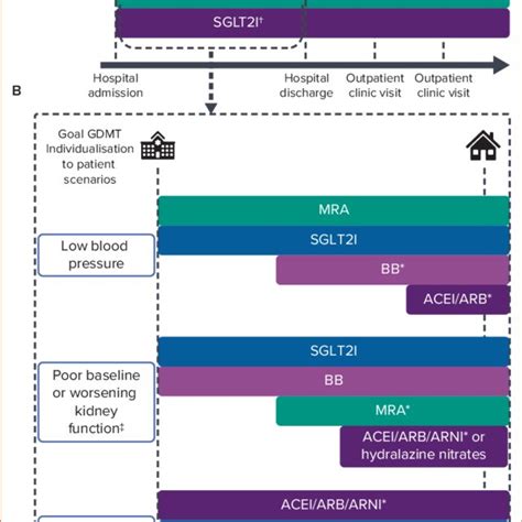 Potential Guideline Directed Medical Therapy Optimisation Strategies