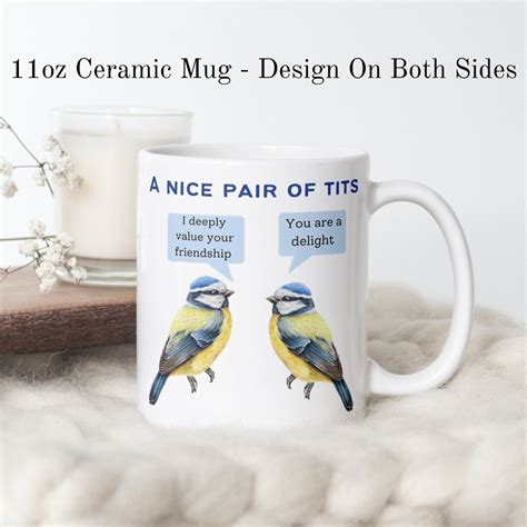 A Nice Pair Of Tits Mug Funny Bird Mug Adult Humour Mug Boob Joke Mug Friendship Coffee Cup