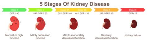 10 Free Tips: How Does Diabetes Cause Kidney Disease? – Turn To Be Healthy