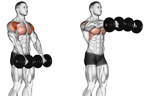 How To Do A Front Dumbbell Raise Correctly | Barbell Front Raise