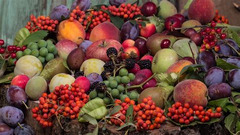 Fruit Grapes Apples - Free photo on Pixabay