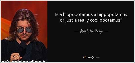 Mitch Hedberg Quote Is A Hippopotamus A Hippopotamus Or Just A Really