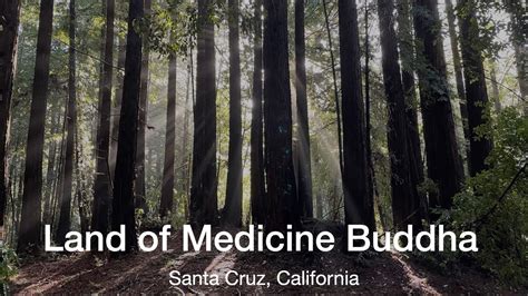 Visiting Land Of Medicine Buddha In Santa Cruz California Tibetan