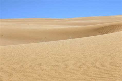 Fondo De La Textura Del Modelo De La Arena Del Desierto De La Arena En