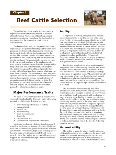 Beef Cattle Selection: Chapter 3 | PDF | Calf | Cattle