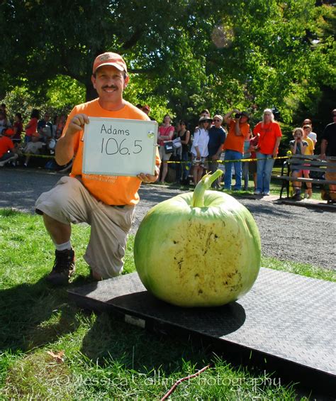 Jessica Collins Photography The Wait Is Overthe Pumpkin And Squash